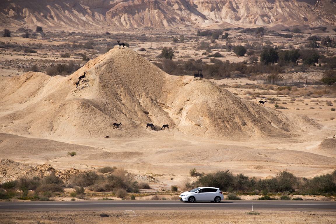 ליד ספיר