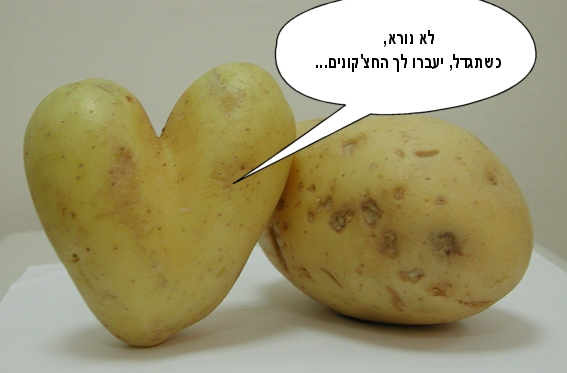 לא נורא - כשתגדל יעברו לך החצ'קונים 