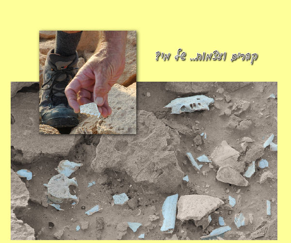 קברים ועצמות... של מי? 