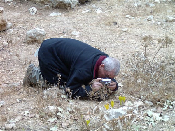 רני עמירן 