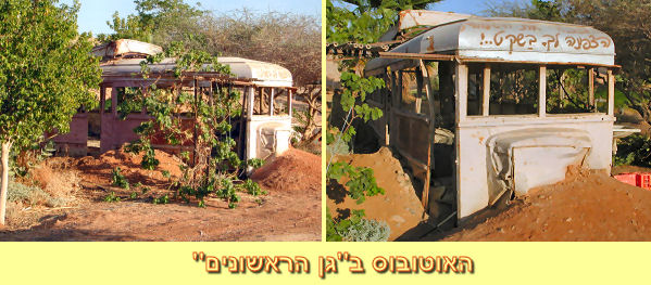 האוטובוס בגן הראשונים
