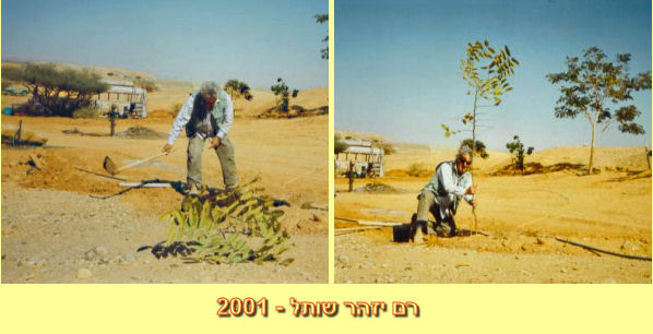 רם יזהר שותל - 2001