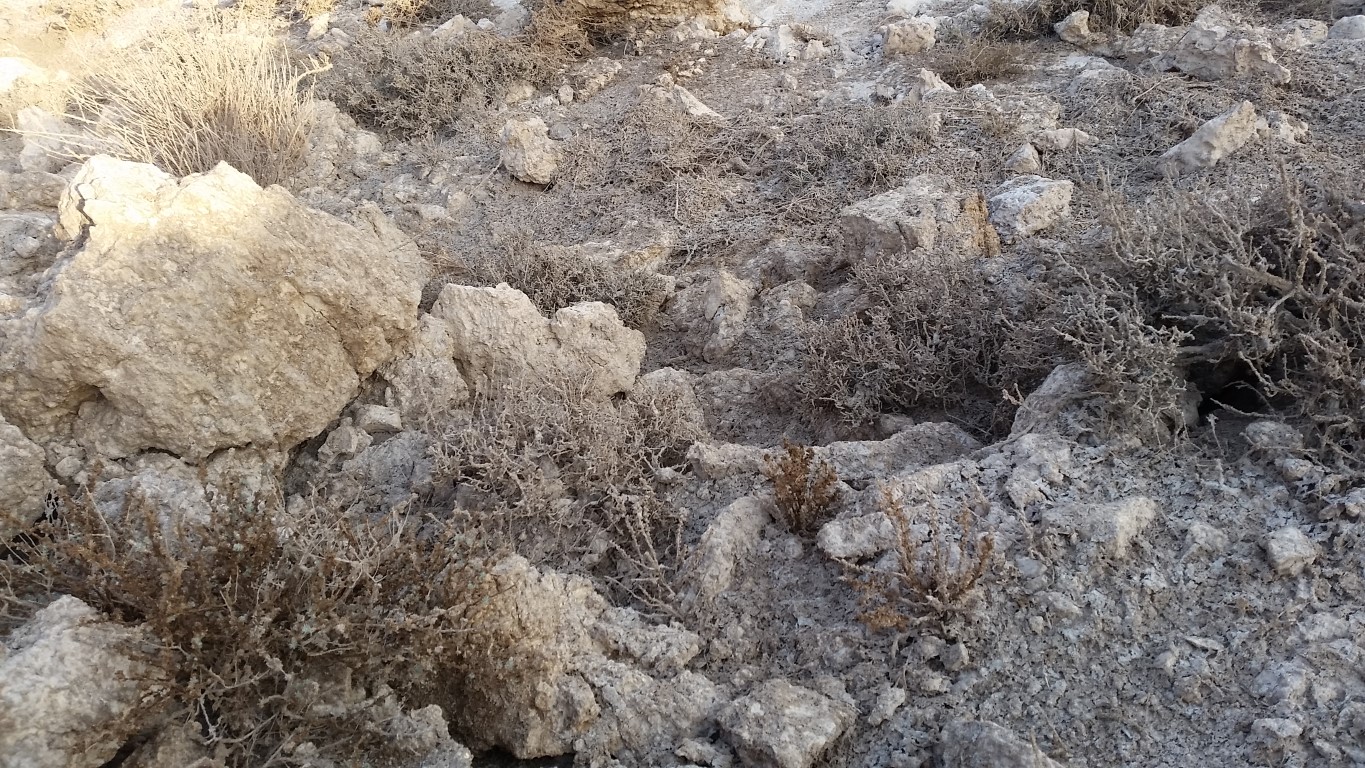 אסון אשלים 2017