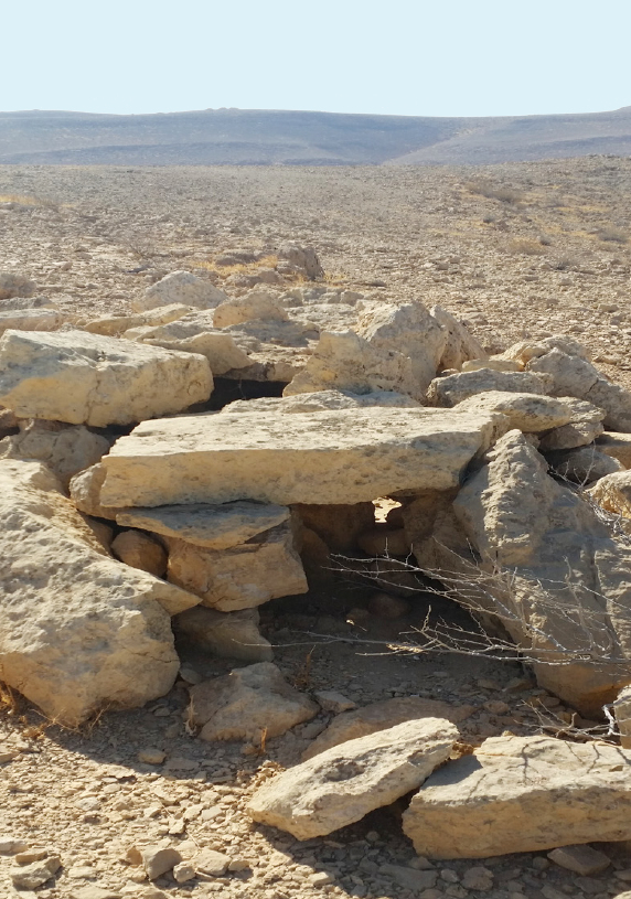 מלכודת טורפים בנחל צפית . צילם רועי גלילי 