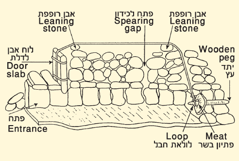 תרשים סכמטי של מלכודת טורפים 