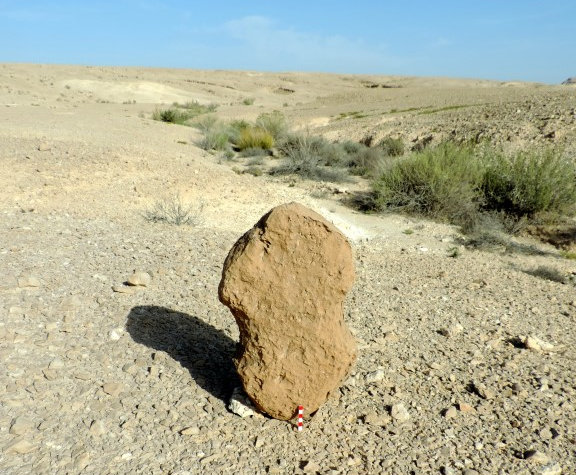 מצבה נקבית 