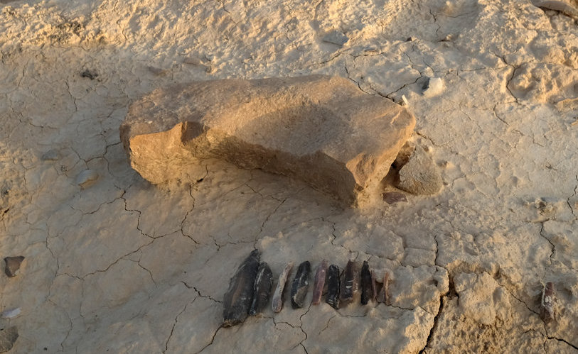 להבי צור וכלי כתישה מאבן גיר 