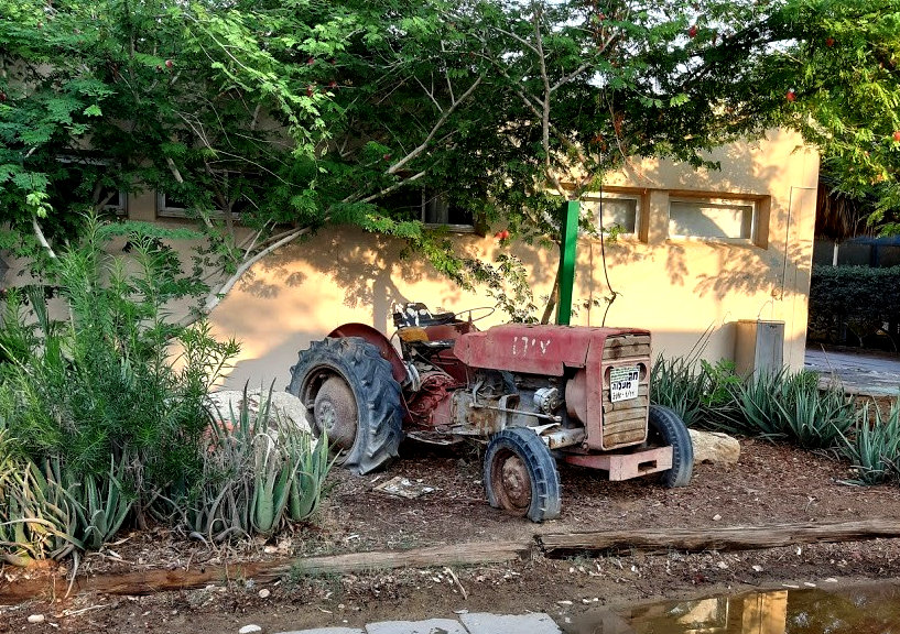צילום: רועי גלילי 