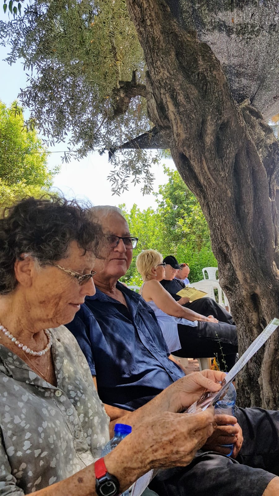 באבו גוש 
