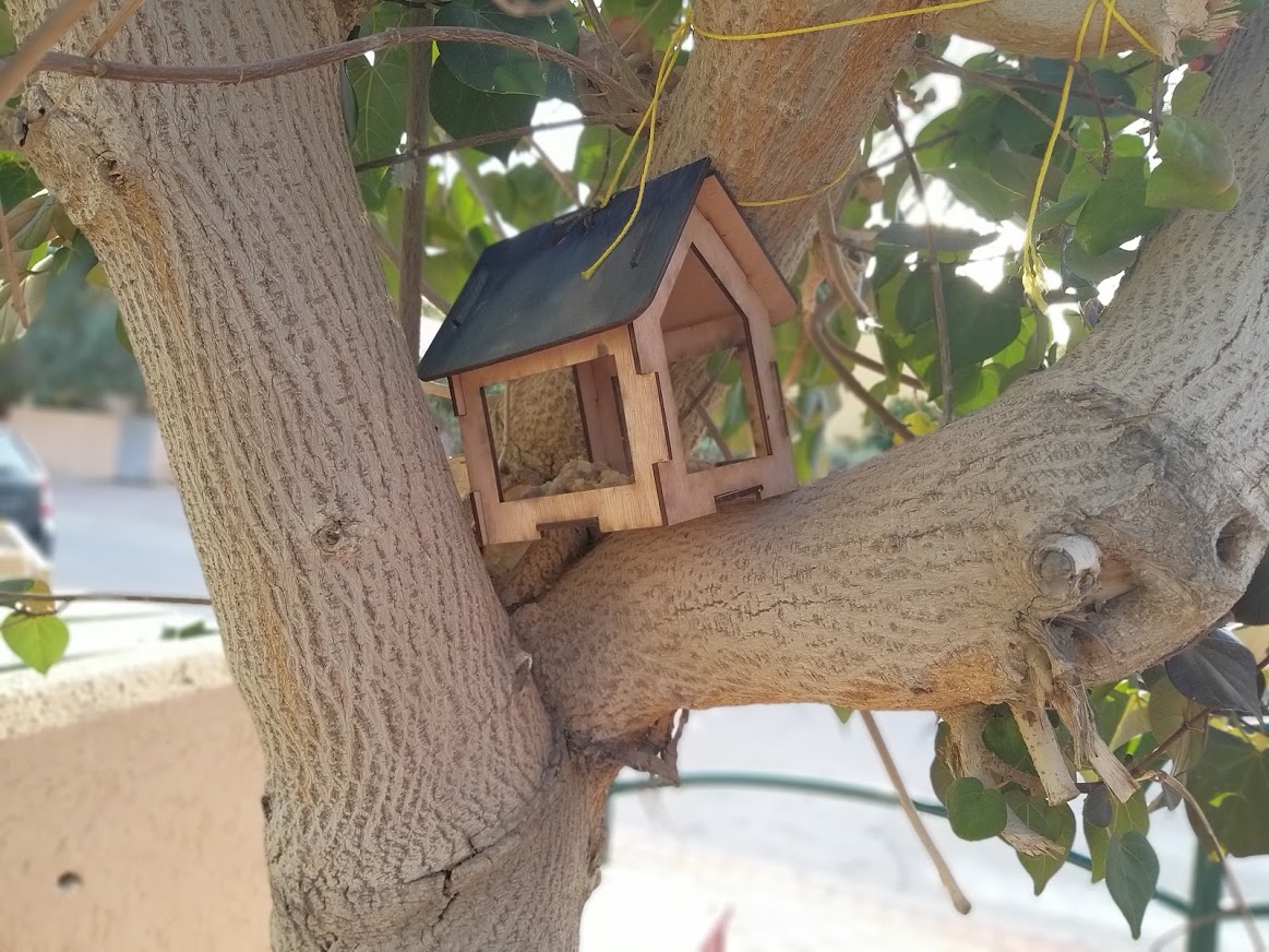קיטנת צפרות 