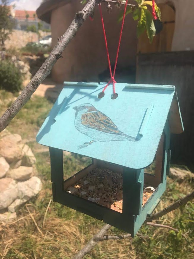 קייטנת צפרות