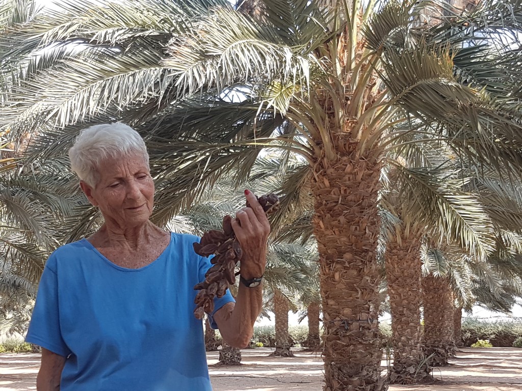 רחל גולן