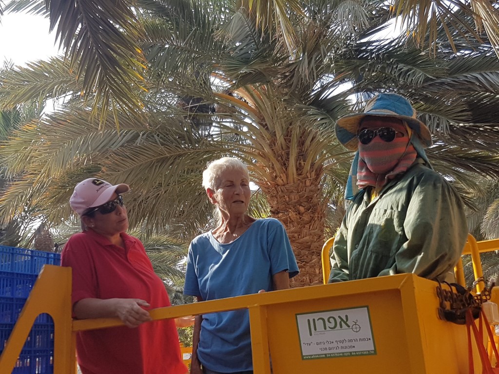 הילה רחל וסירוואד על האפרון