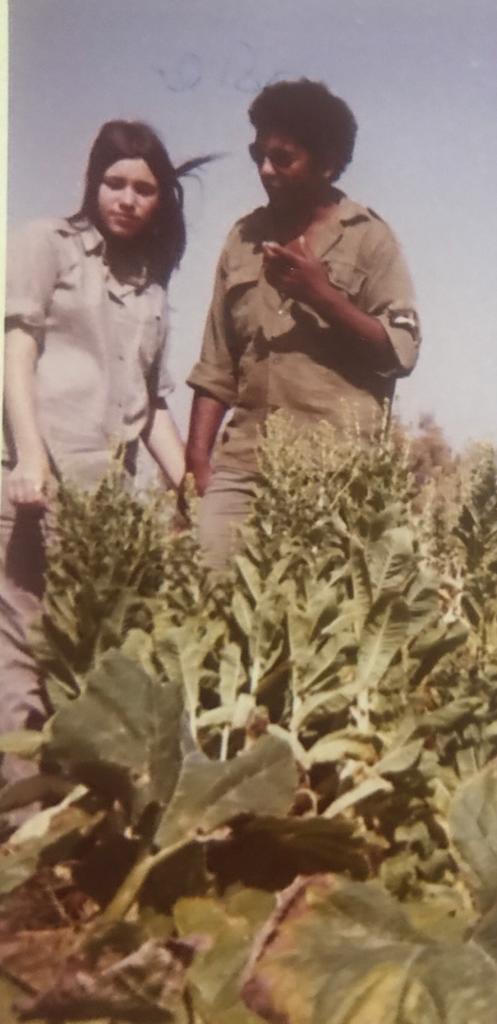 אליק וגילה