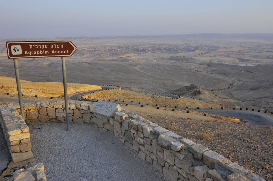 צילום: גלעד לבני