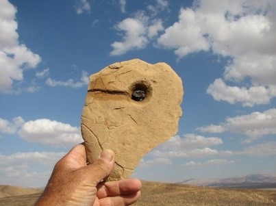 איור 10