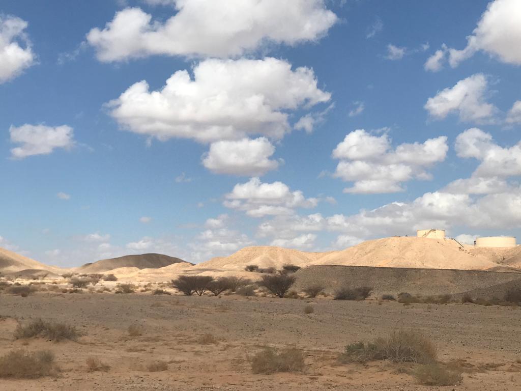 שמורת שיזף צילום גילה טל 