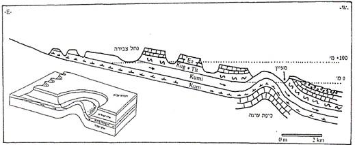 מודל מעין ארטזי (מתוך אנמר 1998 איור 7.1)