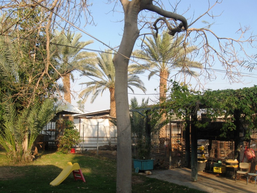 חצר עמירן בעין יהב