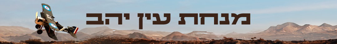 מנחת עין יהב דסקטופ 