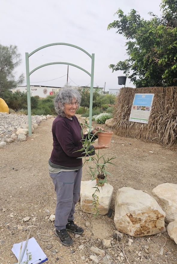 מימי רון בגינה בואדי עם השתיל 