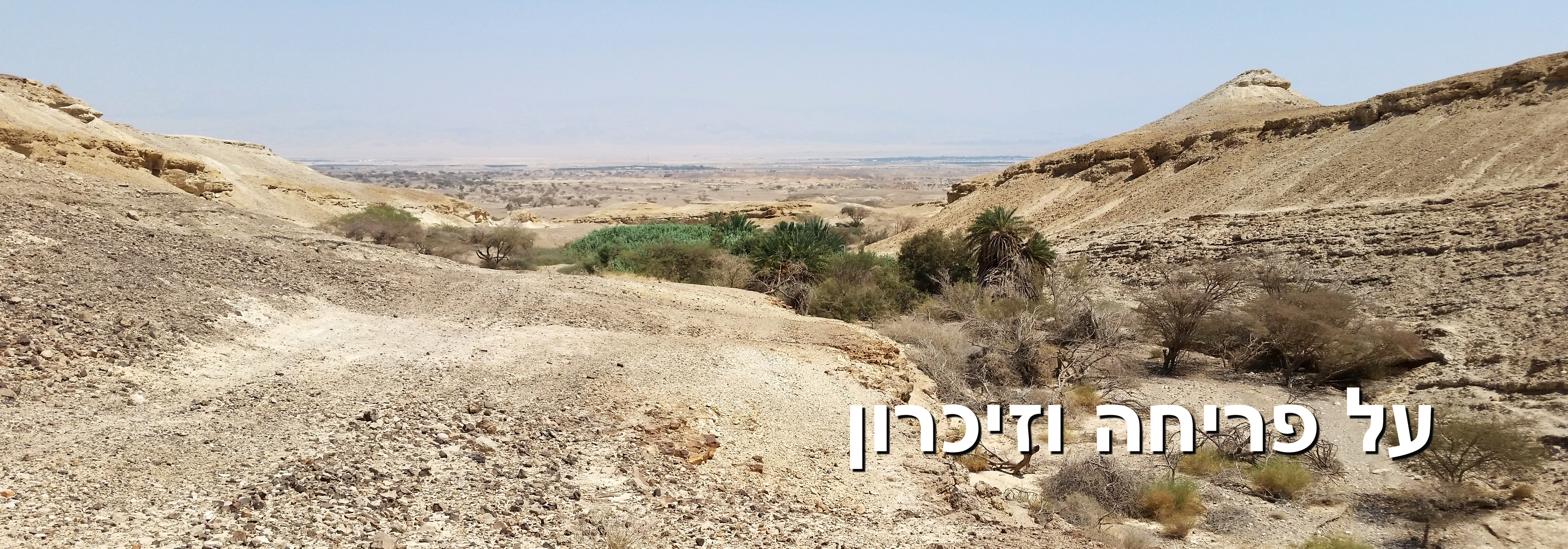 עין תמיד | מתוך עמוד ענן 