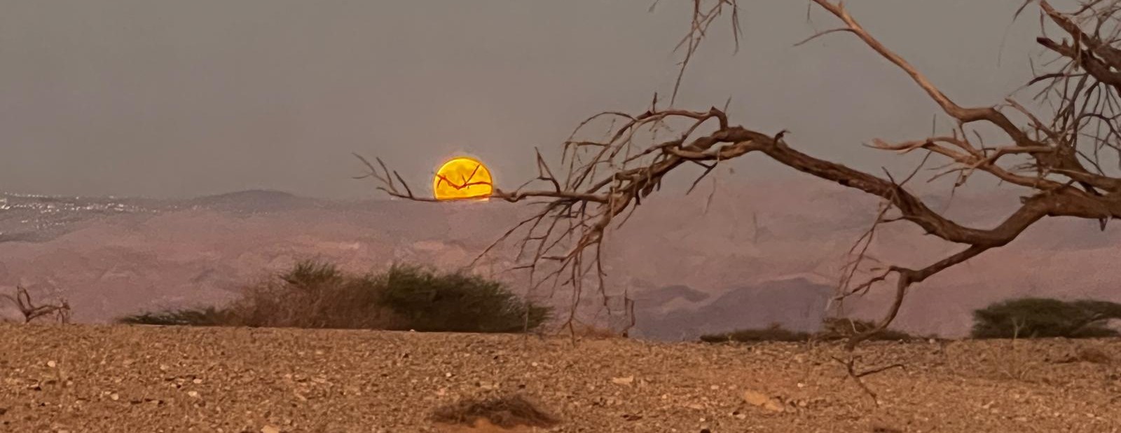 זריחת ירח בשיזף - צילום: גילה טל 