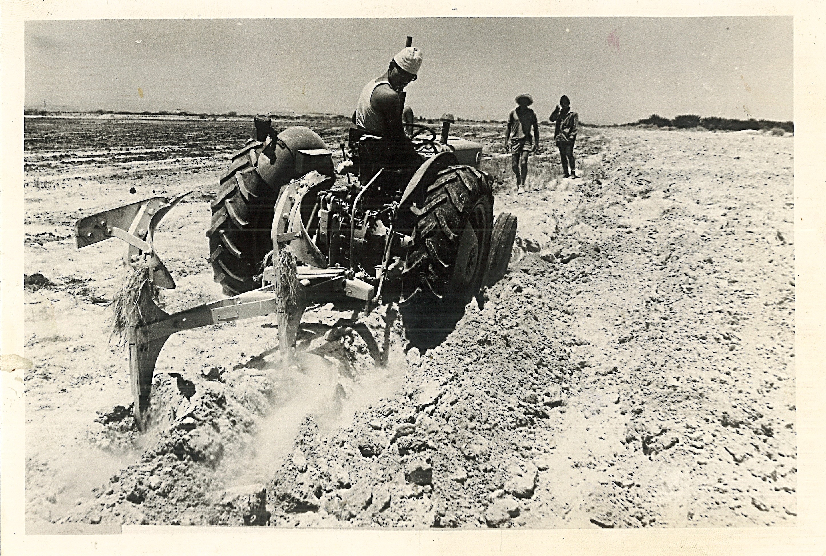 אשר על מחרשה מתהפכת 1970 - הצלם בראון ורנר