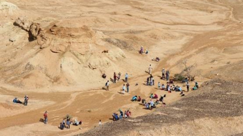 צילום: רונן ליפשיץ
