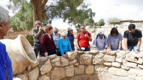 תמר המקראית. צילום: גילה טל 