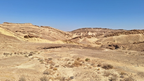 משולחן המועצה מס' 126- 28/08/26